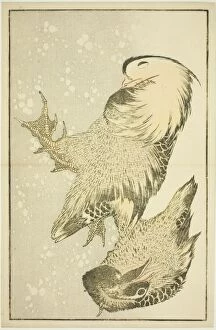 Plumage Gallery: Two Waterfowl, from The Picture Book of Realistic Paintings of Hokusai (Hokusai)