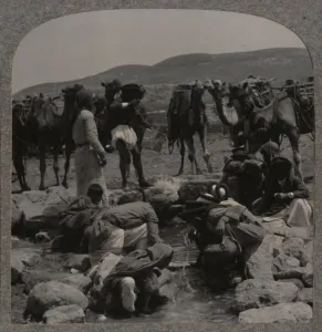 West Bank Prints: Watering camels at Jacobs Well, c1900