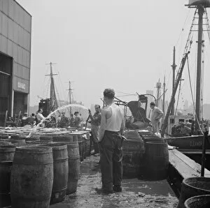 Docks Gallery: Watering fish at the Fulton fish market with brine water, New York, 1943. Creator: Gordon Parks