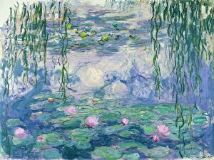 Impressionists Collection: Waterlilies (Nympheas), 1916-1919