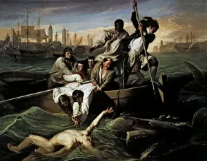 Whale Collection: Watson and the Shark, 1778, by John Singleton Copley