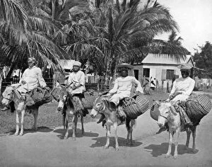 Jamaican Collection: On the way home from market, Jamaica, c1905.Artist: Adolphe Duperly & Son