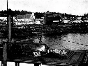 On the Way to Klondike: views of Wrangel, Alaska, and the Stikine-Teslin and Chilcoot Routes, 1898. Creator: Unknown