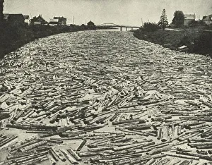 Logging Prints: On their Way to the Saw Mills, c1948. Creator: Unknown