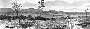 The Graphic Gallery: On the way to the Transvaal Gold Fields; Springbok Flats, Zoutspansberg, 1890. Creator: Unknown