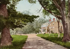 Tree Trunks Prints: The Wayside Inn, Sudbury, Massachusetts, c1900. Creator: Unknown