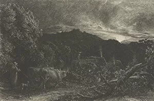 Images Dated 5th November 2020: The Weary Ploughman, or The Herdsman, or Tardus Bubulcus, begun 1858