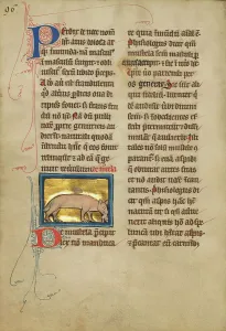 William Shelley Prints: A Weasel; De Natura Avium; De Pastoribus et Ovibus, 1277 or after. Creator: Unknown