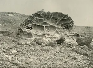 A Weathered Kenyte Boulder Near the Winter Quarters, c1908, (1909) A Weathered Kenyte Boulder Near the Winter Quarters, c1908, (1909)