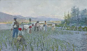 Farmers Prints: The weeding corn, 1893. Creator: Guinea, Anselmo (1855-1906)