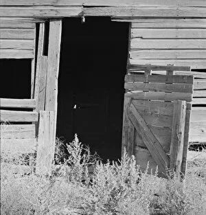 Weeds crowd the barn door abandoned in Columbian Basin, Grant County, Washington, 1939. Creator: Dorothea Lange