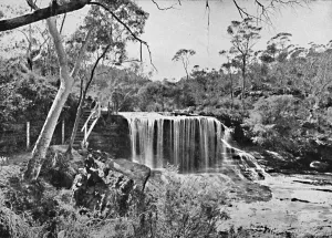 Sydney Swain Prints: The Weeping Rock at Wentworth Falls, Blue Mountains, c1900. Creator: Unknown