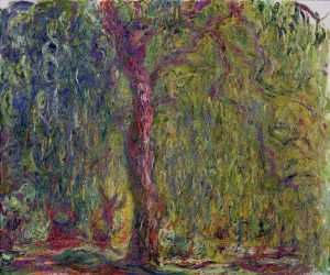 Musée Marmottan Monet Prints: Weeping Willow, 1918-1919
