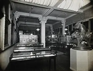 Cabinet Prints: Wellcome Historical Medical Museum