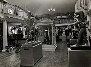 Centaur Prints: Wellcome Historical Medical Museum