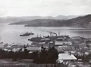 Wellington Collection: Wellington Harbour, late 19th-early 20th century. Creator: Unknown