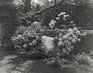 Turtle Prints: Welwyn, Harold Irving Pratt house