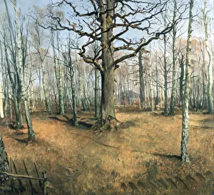 Wermsdorf Forest, 1859. Artist: Rayski, Louis Ferdinand von (1806-1890) Wermsdorf Forest, 1859. Artist: Rayski, Louis Ferdinand von (1806-1890)