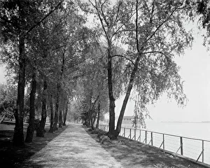 View Of Prints: Wessonside Willow Road, Wesson estate, between 1900 and 1910. Creator: Unknown