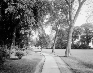 General Washington Prints: West approach, Mt. Vernon, Va. between 1900 and 1915. Creator: William H. Jackson