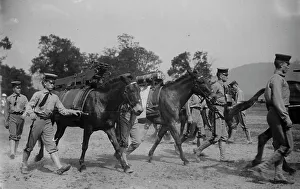 Carrying On Back Prints: West Point Mountain Gun Squad, 1913. Creator: Bain News Service