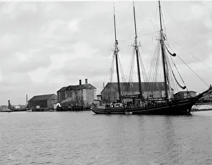 West Point Rice Mills, Charleston, S.C. c1907. Creator: Unknown