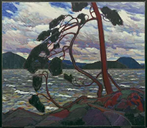 Art Gallery Of Ontario Gallery: The West Wind, 1916-1917