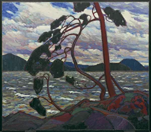 Art Gallery Of Ontario Gallery: The West Wind, 1916-1917