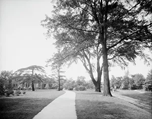 Detroit Prints: Western Boulevard, Detroit, Mich. between 1900 and 1920. Creator: Unknown