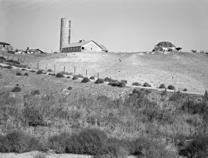 Enclosure Prints: Western Idaho dairy farm, 1939. Creator: Dorothea Lange
