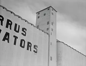 Grain Prints: Western Texas grain elevator, 1937. Creator: Dorothea Lange