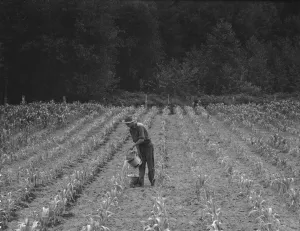 Bucket Collection: Western Washington, Grays Harbor County, northeast of Elma, 1939. Creator: Dorothea Lange