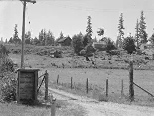 Shelter Collection: Western Washington stump farm, near Vader, Lewis County, Washington, 1939. Creator: Dorothea Lange