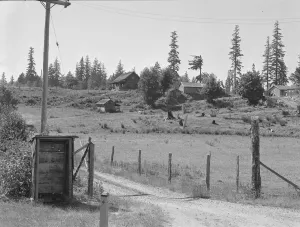 Yard Gallery: Western Washington stump farm, near Vader, Lewis County, Washington, 1939. Creator: Dorothea Lange