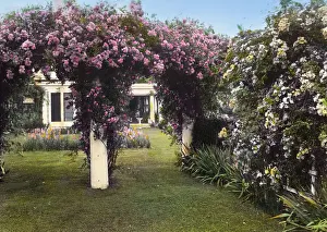 Bower Prints: Westlawn, Edward Tiffany Dyer house