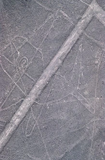 Large Gallery: The Whale, Nazca Lines, Ica, Peru, 2015. Creator: Luis Rosendo