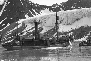 Whaling, Magdalene Bay, Spitzbergen, Norway, 1929