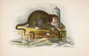 Comic Collection: Wharf Rat, from The Comic Natural History of the Human Race, 1851