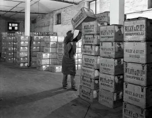 Whisky blending at Wiley & Co, Sheffield, South Yorkshire, 1960