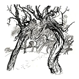 The Studio Prints: Whispering Trees, From A Dish of Apples, 1917, (1923). Artist: Arthur Rackham