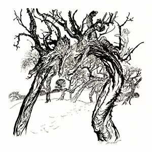 Eden Collection: Whispering Trees, From A Dish of Apples, 1917, (1923). Artist: Arthur Rackham