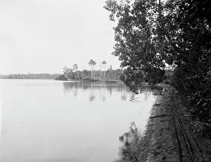 White Bass Lake near Gordon's, Wis. c1898. Creator: Unknown