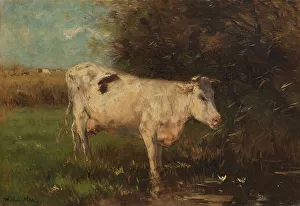 Maris Willem Prints: White Cow, c.1880-c.1910. Creator: Willem Maris