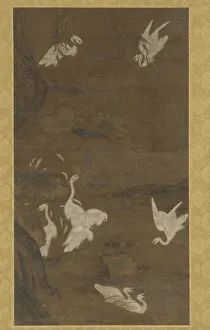 Nine White Egrets and a Willow Tree, Ming dynasty, 15th century. Creator: Unknown Nine White Egrets and a Willow Tree, Ming dynasty, 15th century. Creator: Unknown