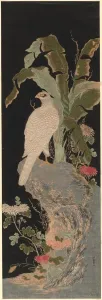 Falcon Collection: The White Falcon, 1780. Creator: Isoda Koryusai