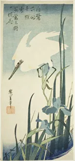 White heron and iris, c. 1832/34. Creator: Ando Hiroshige