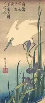Ardeidae Gallery: White Heron and Iris. Creator: Ando Hiroshige