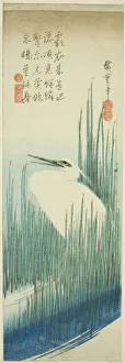 Heron Prints: White heron and rushes, 1830s. Creator: Ando Hiroshige
