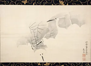 Ardeidae Gallery: White Herons, 1769. Creator: Maruyama Okyo
