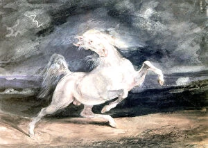 Popular Art Collection: White Horse, 19th century. Artist: Eugene Delacroix